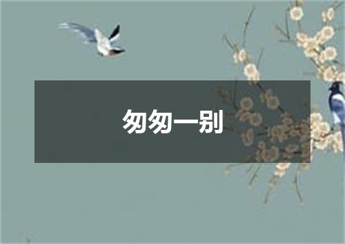 匆匆一别