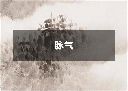 脉气