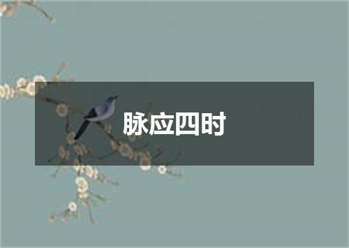 脉应四时