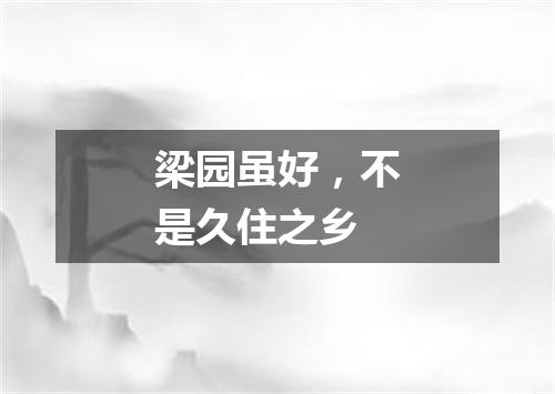 梁园虽好，不是久住之乡