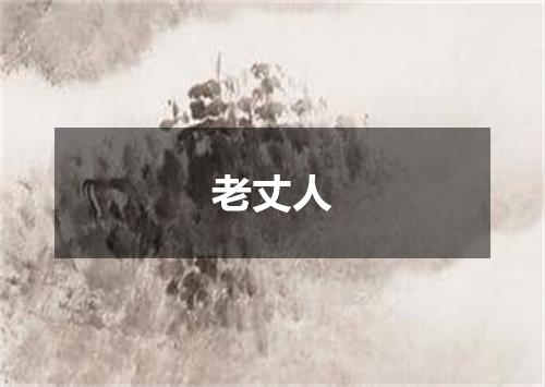 老丈人