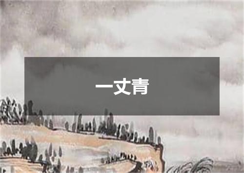 一丈青