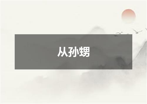 从孙甥