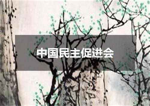 中国民主促进会