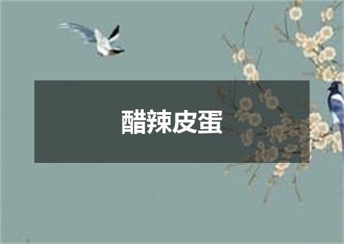 醋辣皮蛋