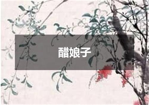 醋娘子