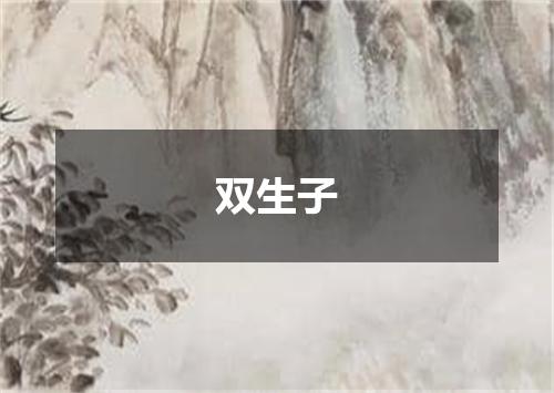 双生子