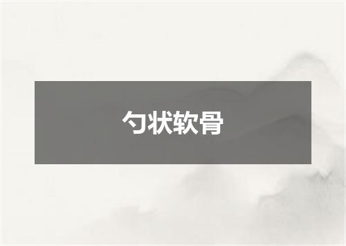 勺状软骨