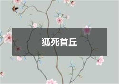 狐死首丘