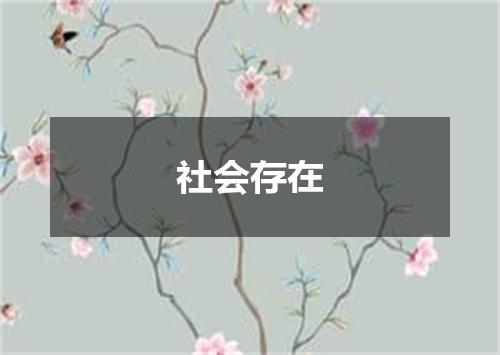 社会存在
