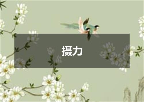 摄力