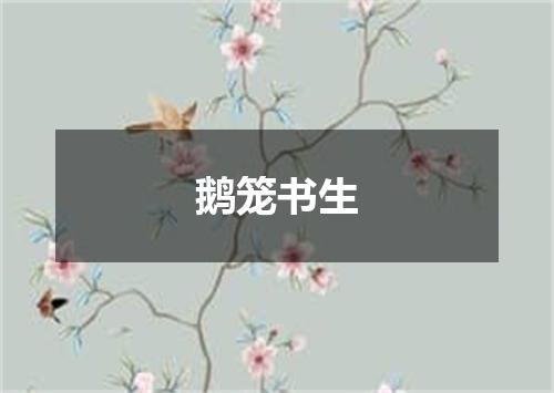 鹅笼书生