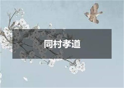 同村孝道