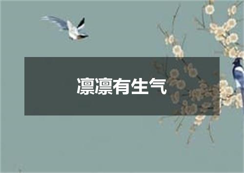 凛凛有生气