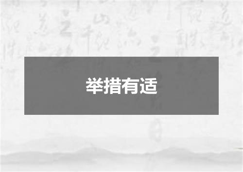 举措有适