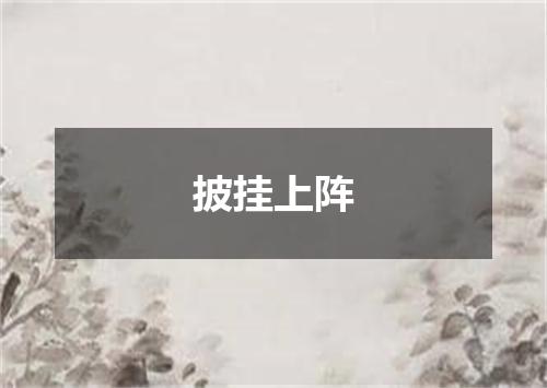 披挂上阵