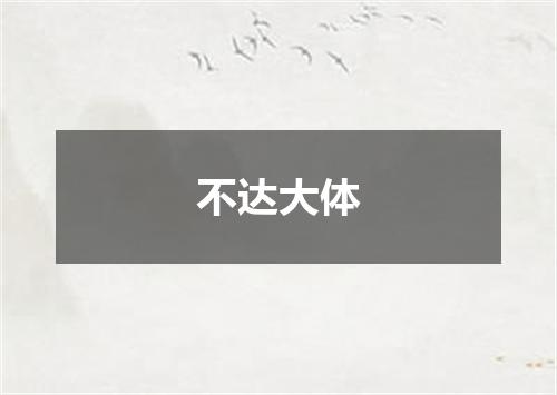 不达大体