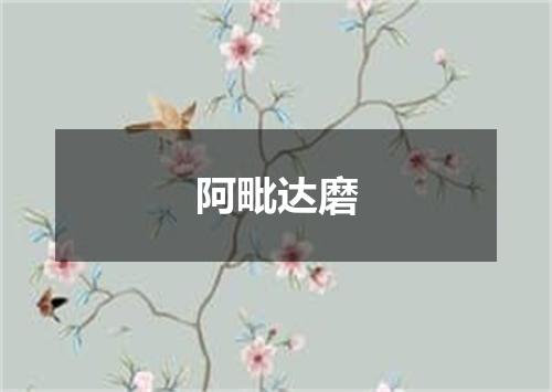 阿毗达磨