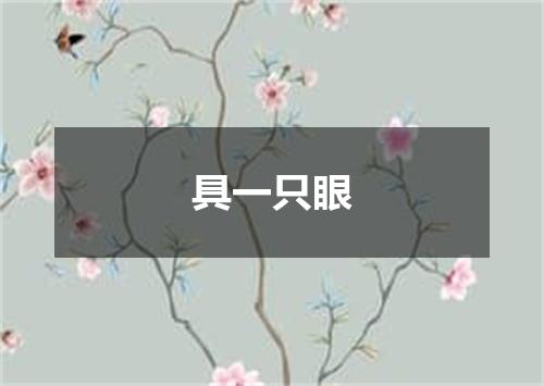 具一只眼