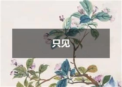 只见