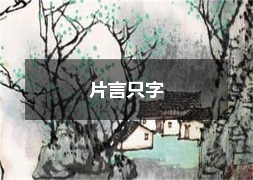 片言只字