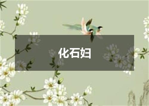 化石妇