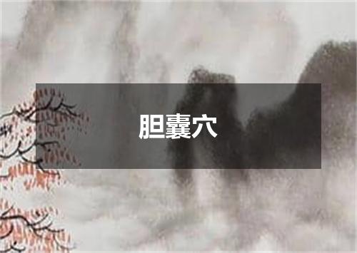 胆囊穴