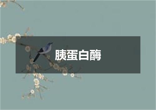 胰蛋白酶