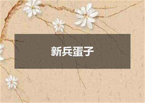 新兵蛋子