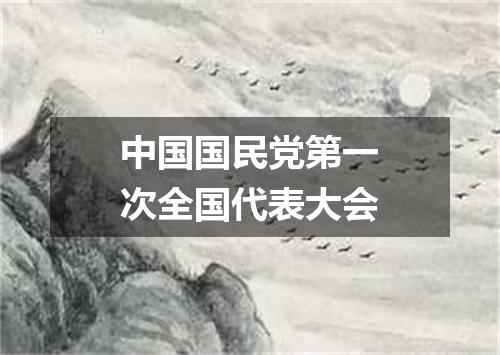 中国国民党第一次全国代表大会