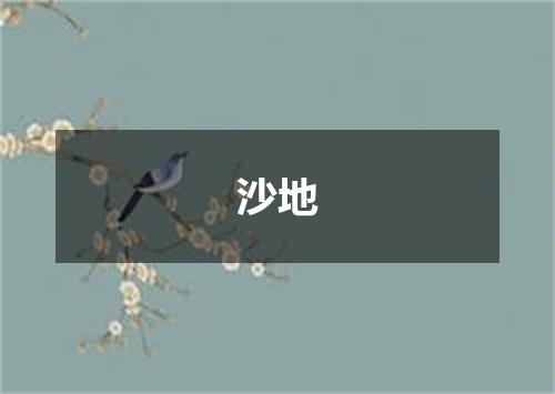 沙地