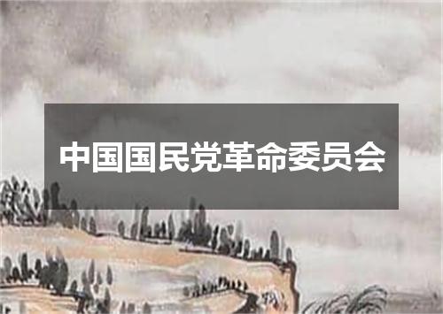 中国国民党革命委员会