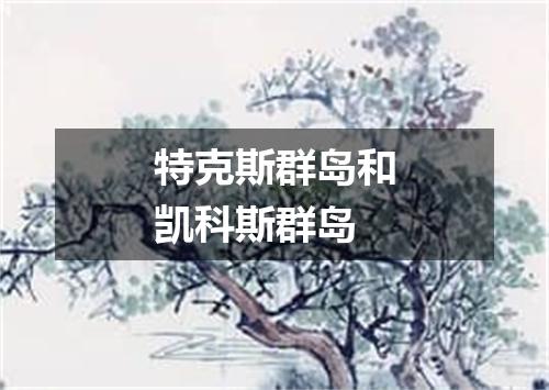 特克斯群岛和凯科斯群岛
