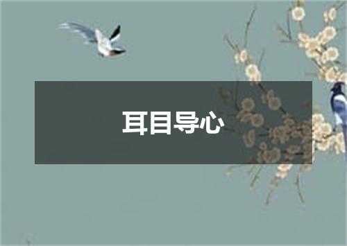 耳目导心