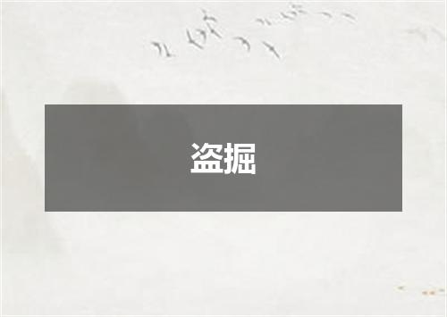 盗掘