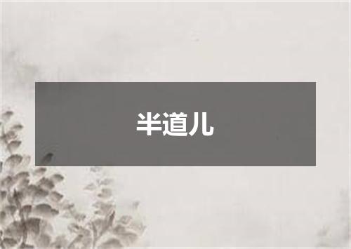半道儿