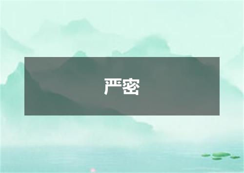 严密