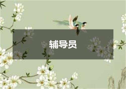 辅导员