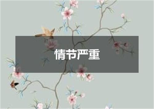 情节严重