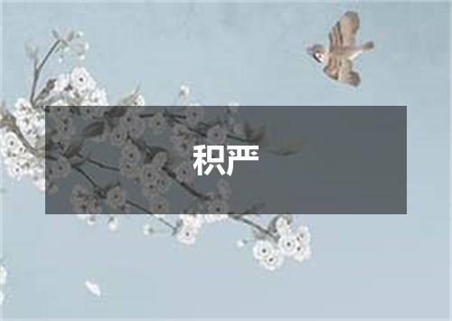 积严
