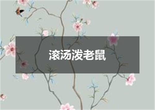 滚汤泼老鼠