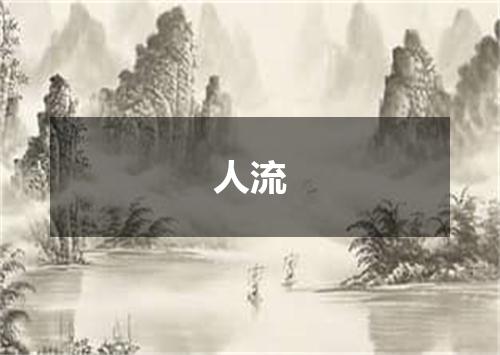 人流