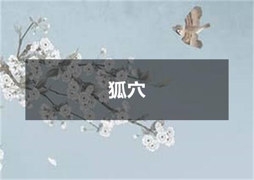 狐穴