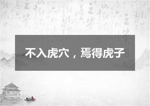 不入虎穴，焉得虎子