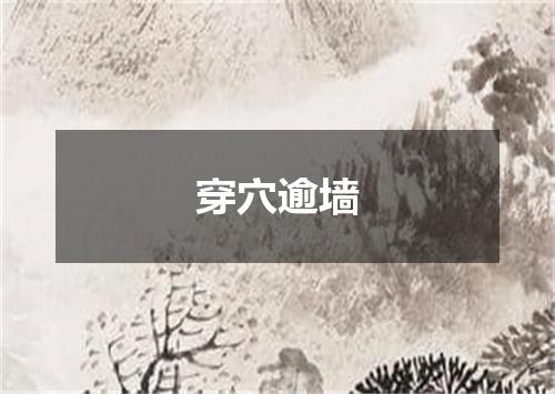 穿穴逾墙