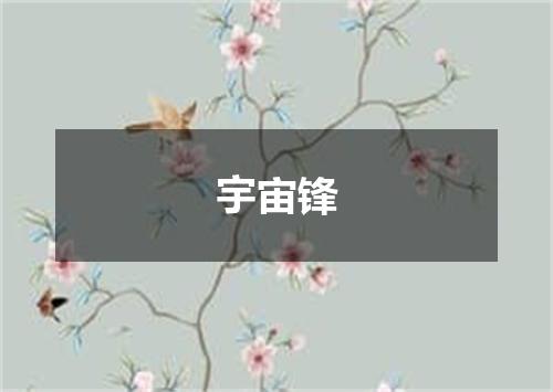宇宙锋