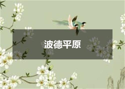 波德平原