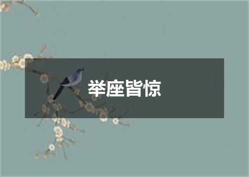 举座皆惊