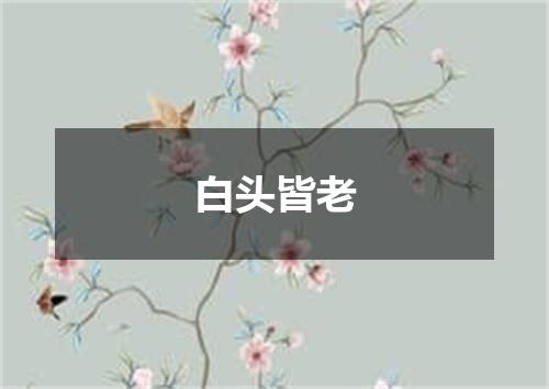 白头皆老