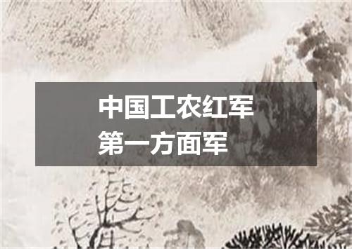 中国工农红军第一方面军